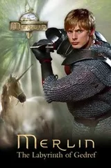 Cover of The Labyrinth Of Gedref