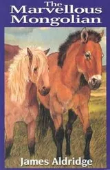 Cover of The marvellous Mongolian