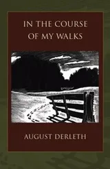 Cover of In The Course Of My Walks