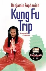 Cover of Kung Fu Trip
