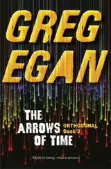Cover of The Arrows Of Time