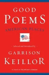 Cover of Good Poems American Places