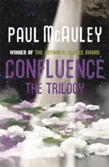 Cover of Confluence  The Trilogy