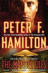 Cover of The Mandel Files