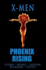Cover of Phoenix Rising
            
                XMen Hardcover