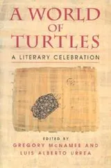 Cover of A world of turtles