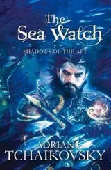Cover of The Sea Watch