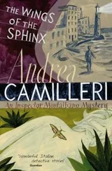 Cover of The Wings Of The Sphinx