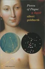Cover of Pieces of Payne
