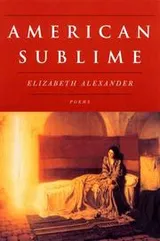 Cover of American Sublime