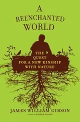 Cover of A reenchanted world