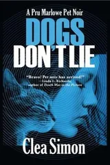 Cover of Dogs Dont Lie A Pru Marlowe Pet Noir