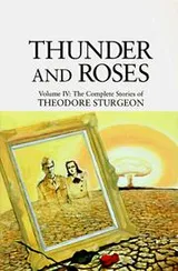 Cover of Thunder and roses