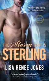 Cover of The Storm That Is Sterling (Zodius #2)
