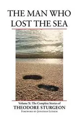 Cover of The man who lost the sea
