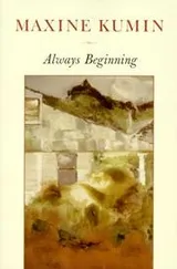 Cover of Always Beginning