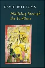 Cover of Waltzing through the endtime