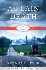 Cover of A Plain Death
            
                Appleseed Creek Mystery