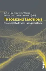 Cover of Theorizing Emotions Sociological Explorations And Applications