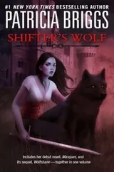 Cover of Shifters Wolf
