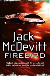 Cover of Firebird
            
                Alex Benedict