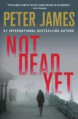 Cover of Not Dead Yet