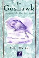 Cover of The Goshawk (A Viking compass book, C291)