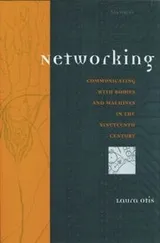 Cover of Networking
            
                Studies in Literature  Science Paperback