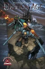 Cover of Dragon Age Origins [graphic novel]