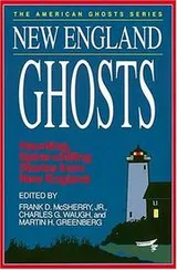 Cover of New England ghosts
