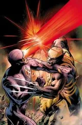 Cover of Schism
            
                XMen Marvel Hardcover