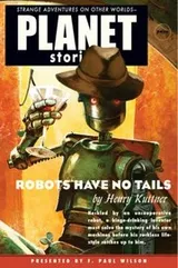 Cover of Robots Have No Tails