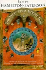 Cover of The view from Mount Dog