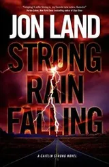Cover of Strong Rain Falling A Caitlin Strong Novel