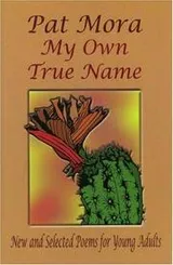 Cover of My Own True Name