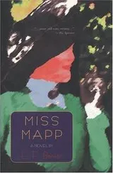 Cover of Miss Mapp