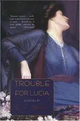 Cover of Trouble for Lucia