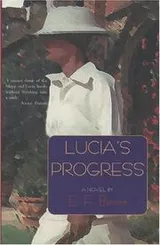 Cover of Lucia triumphant