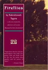 Cover of Fireflies