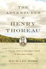 Cover of The Adventures Of Henry Thoreau A Young Mans Unlikely Path To Walden Pond