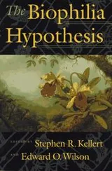 Cover of Biophilia Hypothesis