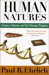 Cover of Human Natures