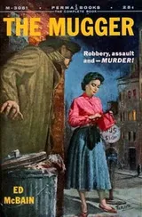 Cover of The mugger