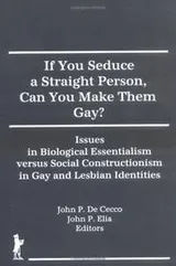 Cover of If You Seduce a Straight Person, Can You Make Them Gay?