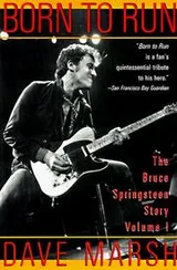 Cover of Born to run