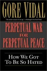 Cover of Perpetual war for perpetual peace