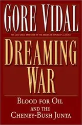 Cover of Dreaming War