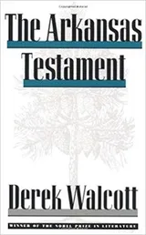 Cover of The Arkansas testament