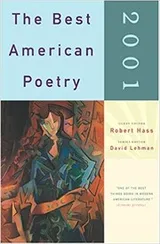 Cover of The Best American Poetry 2001