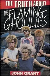 Cover of The Truth About The Flaming Ghoulies